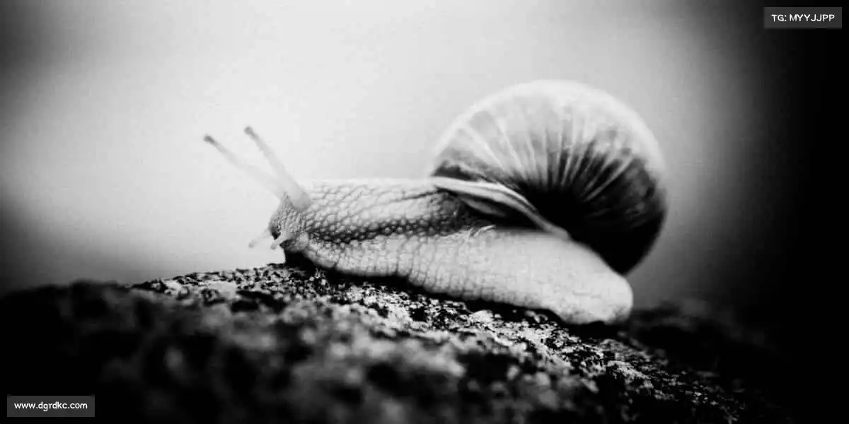 行业领先的理由